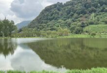 آب‌بندان‌های گیلان؛ از میراث طبیعی تا راهبردی برای عبور از خشکسالی