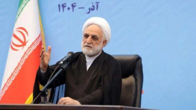 رئیس قوه قضائیه: همه کسانی که به نحوی مسئله امنیتی داشتند را فعلا از فهرست عفوها خارج کردم