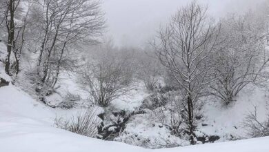 برف و کولاک؛ مهمان آخر هفته گیلان