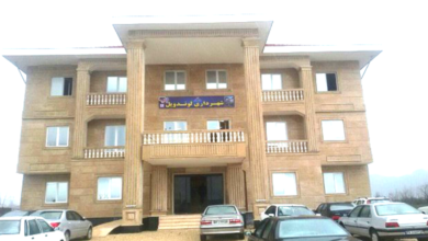 در پی غیبت شهردار لوندویل در جلسه رسمی پاسخ‌گویی به سؤالات اعضای شورای شهر، اکثریت اعضا با رأی‌گیری، رأی به استیضاح شهردار دادند و «رضا ضارب‌نیا» به‌عنوان سرپرست شهرداری انتخاب شد.