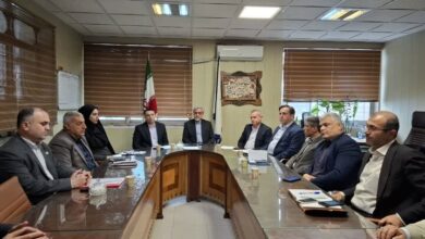 فرماندار رشت: کشاورزان با شیوههای جدید مدیریت آب آشنا شوند